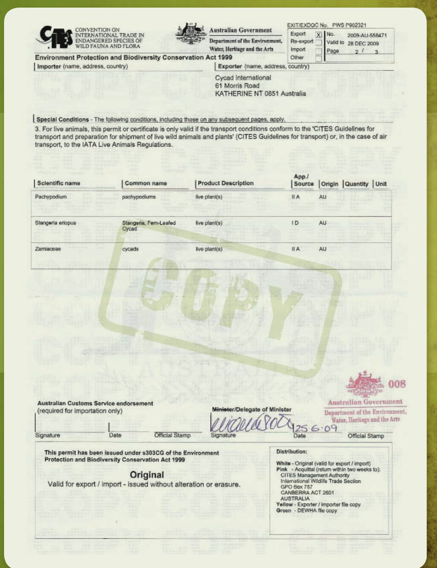 Cycad International export permit