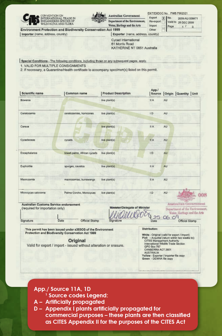 Export permit cycad international